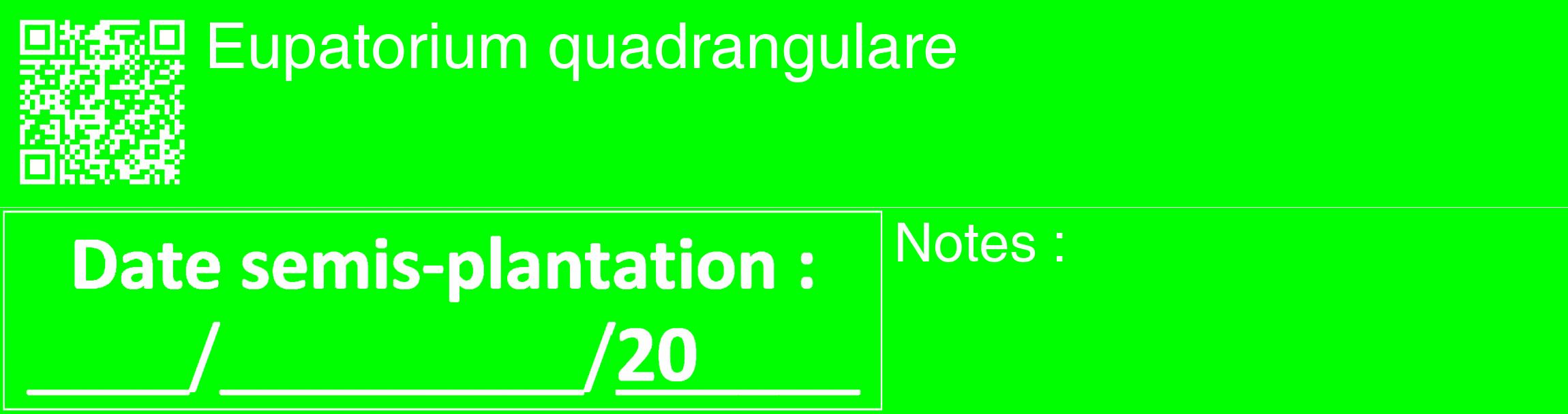 Étiquette de : Eupatorium quadrangulare - format c - style blanche16_basique_basiquehel avec qrcode et comestibilité
