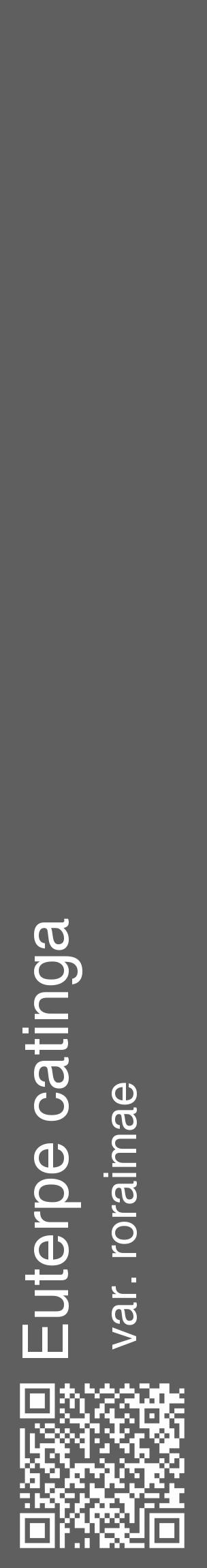 Étiquette de : Euterpe catinga var. roraimae - format c - style blanche10_basique_basiquehel avec qrcode et comestibilité - position verticale
