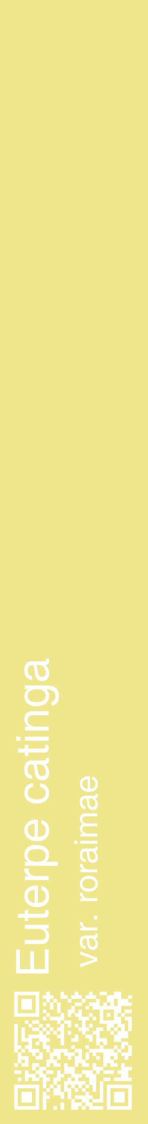Étiquette de : Euterpe catinga var. roraimae - format c - style blanche20_basiquehel avec qrcode et comestibilité