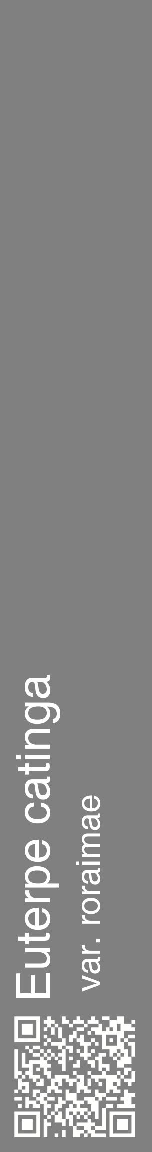 Étiquette de : Euterpe catinga var. roraimae - format c - style blanche57_basiquehel avec qrcode et comestibilité