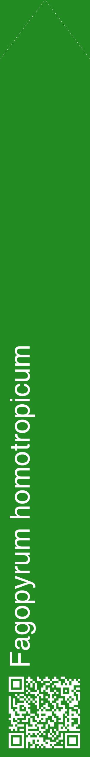 Étiquette de : Fagopyrum homotropicum - format c - style blanche10_simplehel avec qrcode et comestibilité
