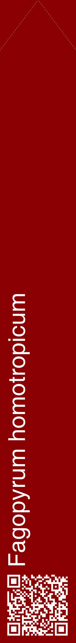 Étiquette de : Fagopyrum homotropicum - format c - style blanche34_simplehel avec qrcode et comestibilité
