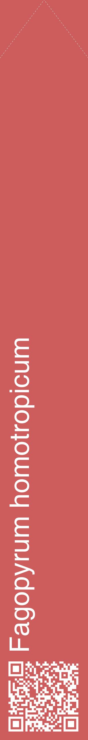Étiquette de : Fagopyrum homotropicum - format c - style blanche35_simplehel avec qrcode et comestibilité