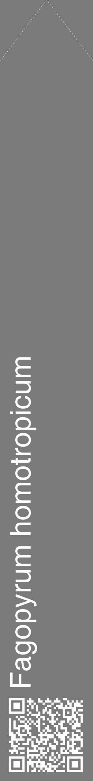 Étiquette de : Fagopyrum homotropicum - format c - style blanche3_simple_simplehel avec qrcode et comestibilité - position verticale