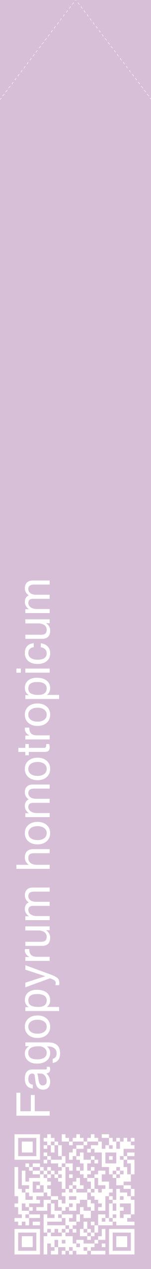 Étiquette de : Fagopyrum homotropicum - format c - style blanche54_simplehel avec qrcode et comestibilité
