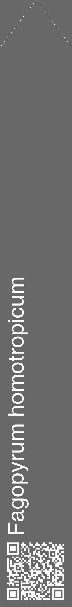 Étiquette de : Fagopyrum homotropicum - format c - style blanche6_simple_simplehel avec qrcode et comestibilité - position verticale