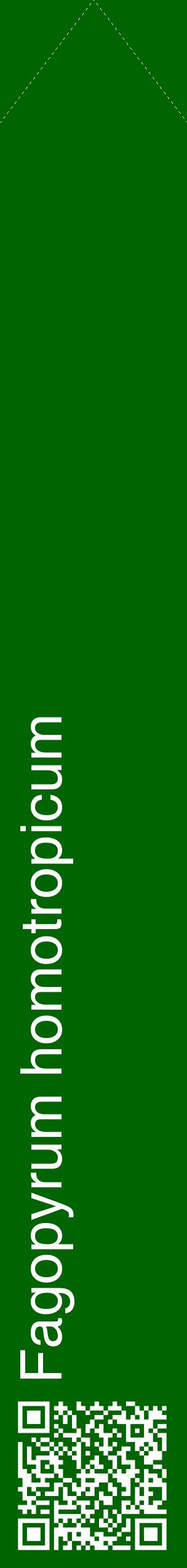 Étiquette de : Fagopyrum homotropicum - format c - style blanche8_simplehel avec qrcode et comestibilité