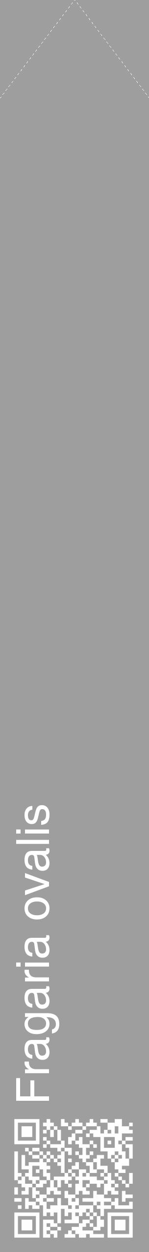 Étiquette de : Fragaria ovalis - format c - style blanche23_simple_simplehel avec qrcode et comestibilité - position verticale