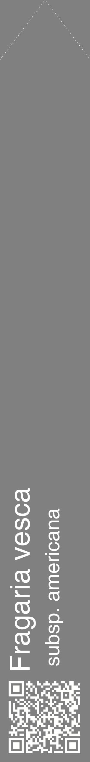 Étiquette de : Fragaria vesca subsp. americana - format c - style blanche57_simplehel avec qrcode et comestibilité