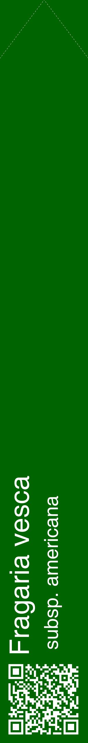 Étiquette de : Fragaria vesca subsp. americana - format c - style blanche8_simplehel avec qrcode et comestibilité
