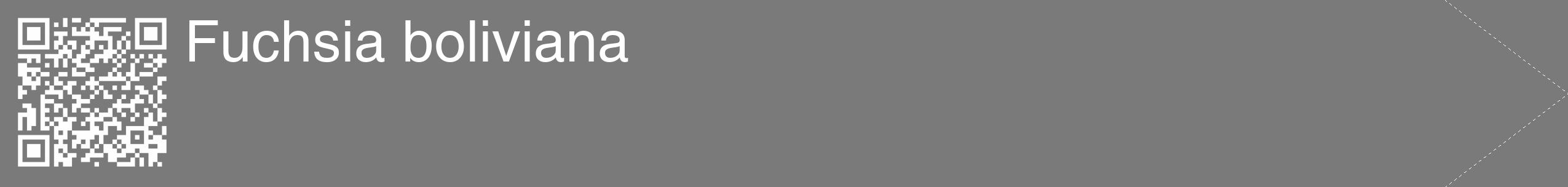 Étiquette de : Fuchsia boliviana - format c - style blanche3_simple_simplehel avec qrcode et comestibilité