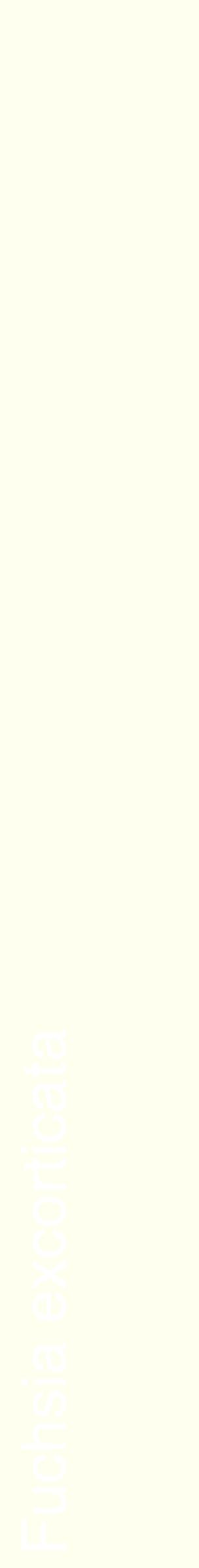 Étiquette de : Fuchsia excorticata - format c - style blanche19_simplehel avec comestibilité