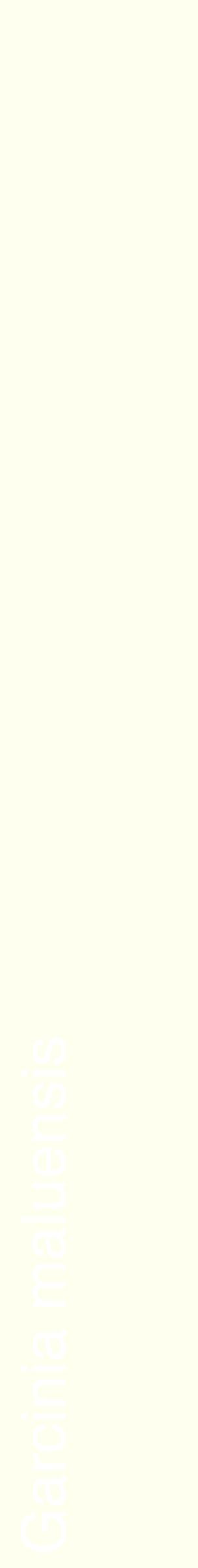 Étiquette de : Garcinia maluensis - format c - style blanche19_simplehel avec comestibilité