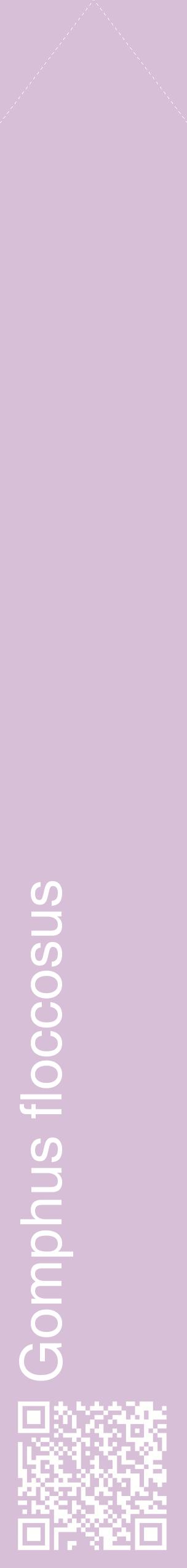 Étiquette de : Gomphus floccosus - format c - style blanche54_simplehel avec qrcode et comestibilité