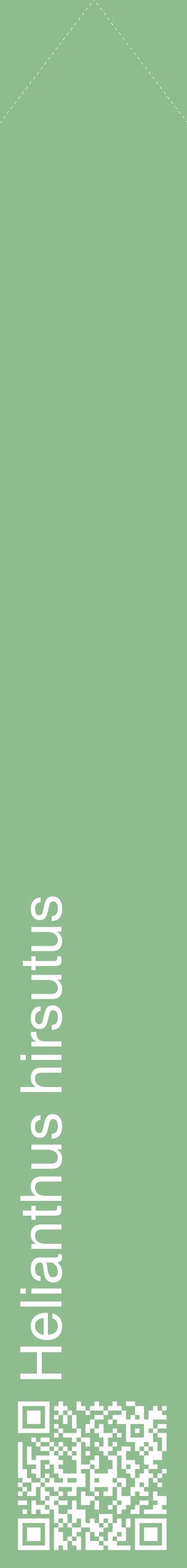 Étiquette de : Helianthus hirsutus - format c - style blanche13_simplehel avec qrcode et comestibilité