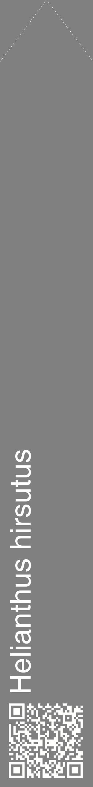 Étiquette de : Helianthus hirsutus - format c - style blanche57_simplehel avec qrcode et comestibilité