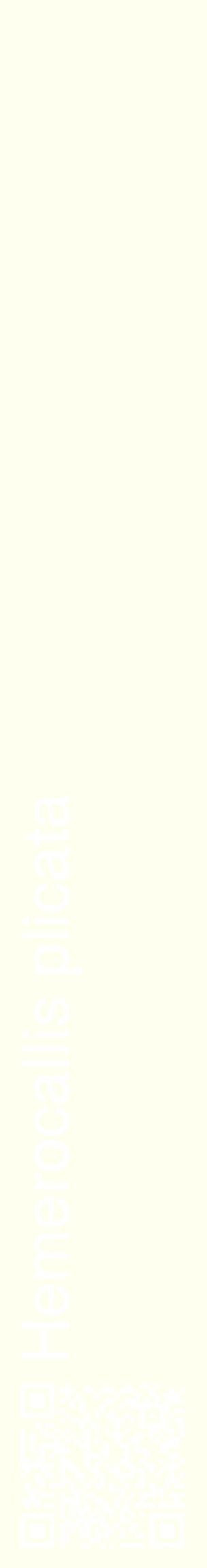 Étiquette de : Hemerocallis plicata - format c - style blanche19_basiquehel avec qrcode et comestibilité