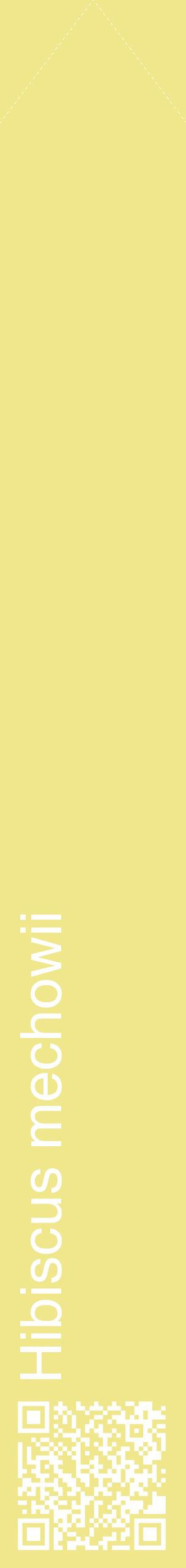Étiquette de : Hibiscus mechowii - format c - style blanche20_simplehel avec qrcode et comestibilité