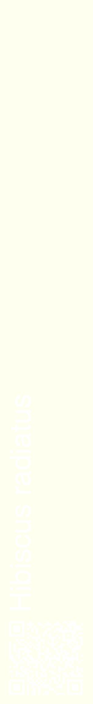 Étiquette de : Hibiscus radiatus - format c - style blanche19_basiquehel avec qrcode et comestibilité