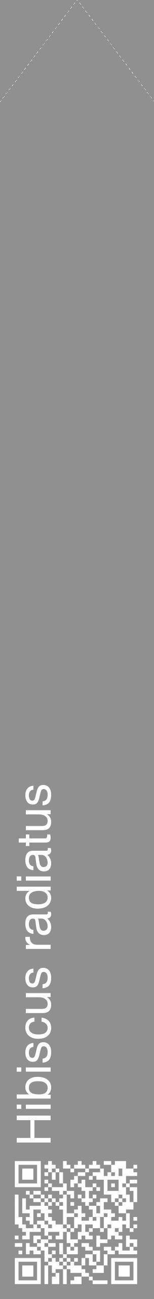 Étiquette de : Hibiscus radiatus - format c - style blanche4_simple_simplehel avec qrcode et comestibilité - position verticale