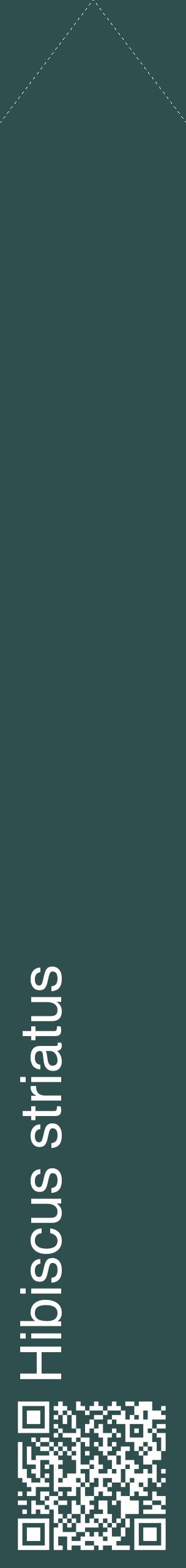 Étiquette de : Hibiscus striatus - format c - style blanche58_simplehel avec qrcode et comestibilité