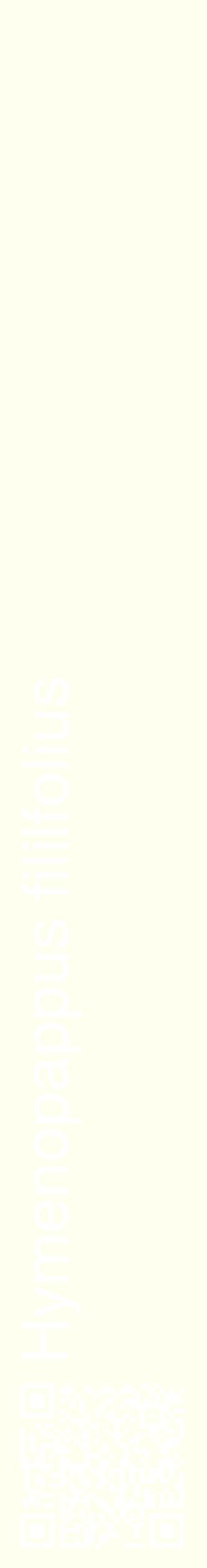 Étiquette de : Hymenopappus fililfolius - format c - style blanche19_basiquehel avec qrcode et comestibilité