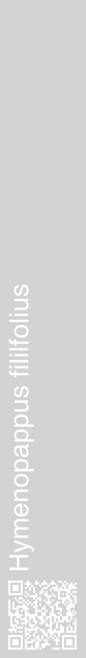 Étiquette de : Hymenopappus fililfolius - format c - style blanche56_basiquehel avec qrcode et comestibilité
