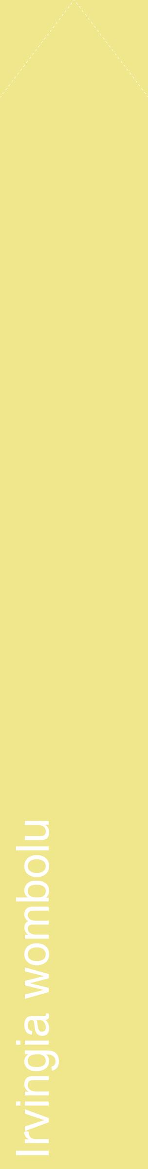Étiquette de : Irvingia wombolu - format c - style blanche20_simplehel avec comestibilité
