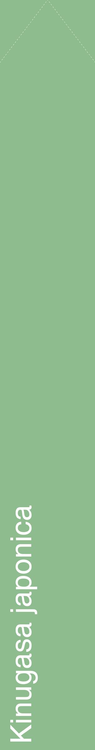 Étiquette de : Kinugasa japonica - format c - style blanche13_simplehel avec comestibilité