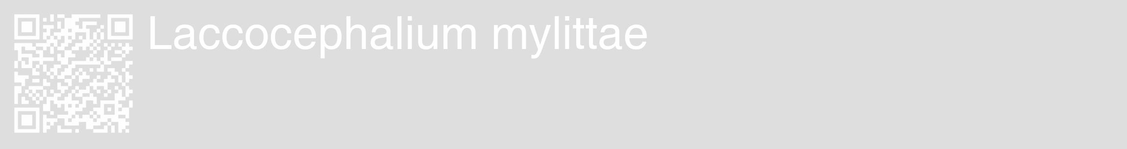 Étiquette de : Laccocephalium mylittae - format c - style blanche20_basique_basiquehel avec qrcode et comestibilité