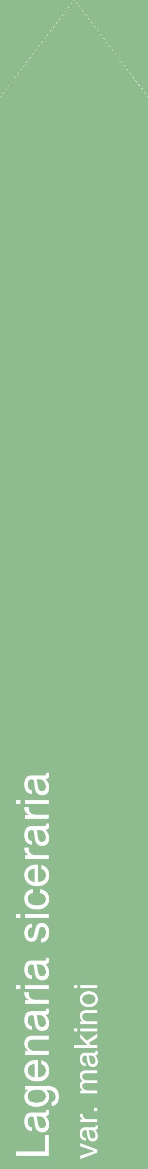 Étiquette de : Lagenaria siceraria var. makinoi - format c - style blanche13_simplehel avec comestibilité