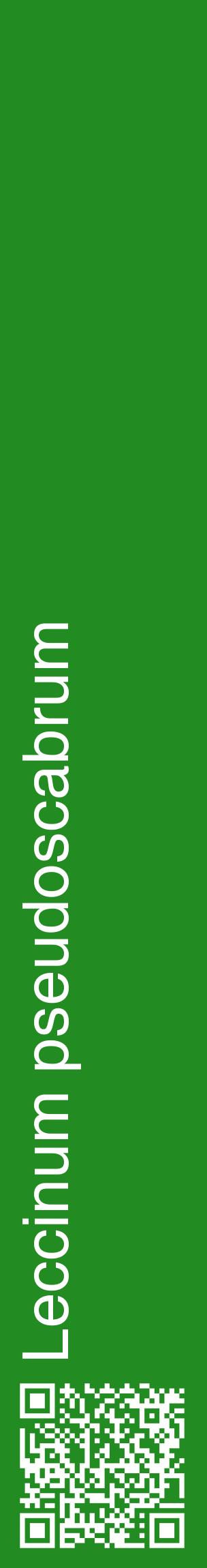 Étiquette de : Leccinum pseudoscabrum - format c - style blanche10_basiquehel avec qrcode et comestibilité