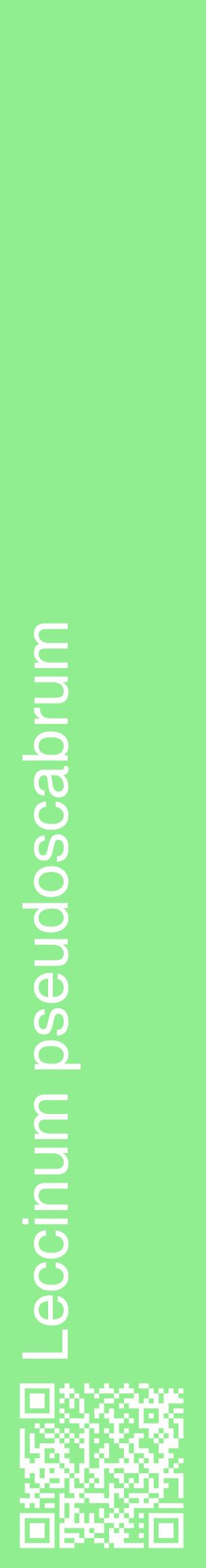 Étiquette de : Leccinum pseudoscabrum - format c - style blanche15_basiquehel avec qrcode et comestibilité
