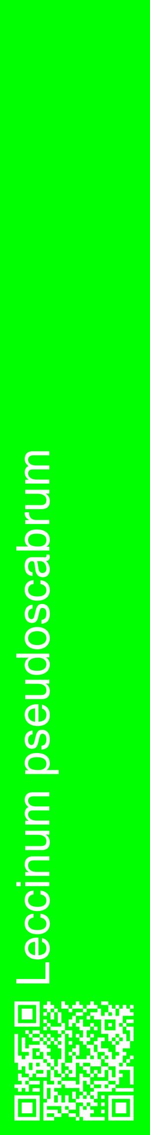 Étiquette de : Leccinum pseudoscabrum - format c - style blanche16_basiquehel avec qrcode et comestibilité