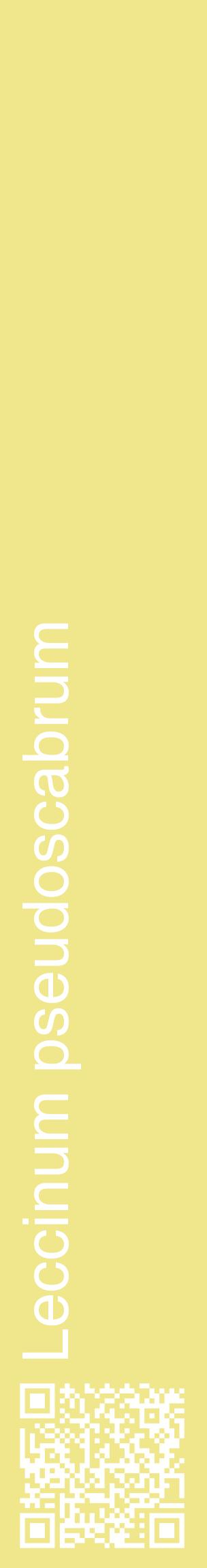 Étiquette de : Leccinum pseudoscabrum - format c - style blanche20_basiquehel avec qrcode et comestibilité