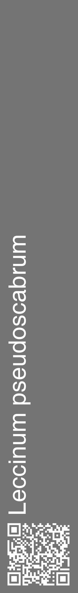 Étiquette de : Leccinum pseudoscabrum - format c - style blanche26_basique_basiquehel avec qrcode et comestibilité - position verticale