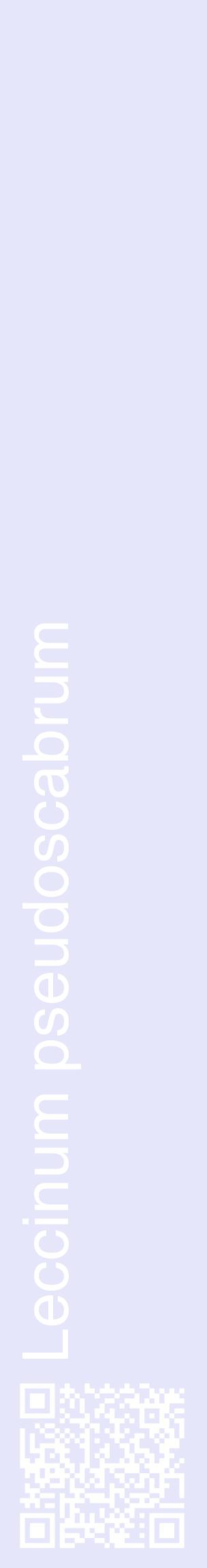 Étiquette de : Leccinum pseudoscabrum - format c - style blanche55_basiquehel avec qrcode et comestibilité