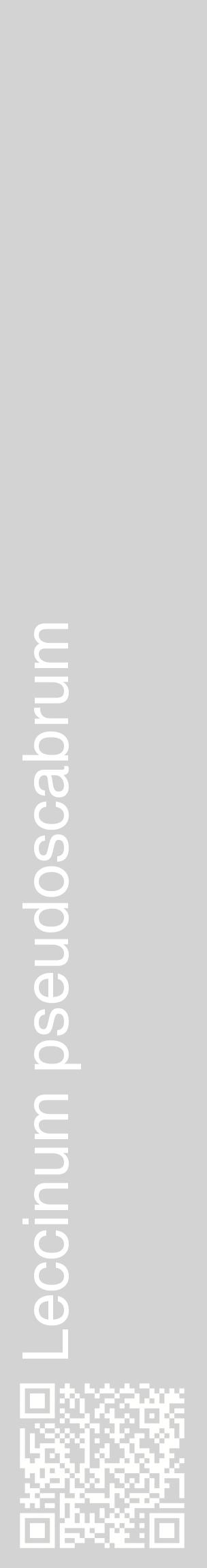 Étiquette de : Leccinum pseudoscabrum - format c - style blanche56_basiquehel avec qrcode et comestibilité