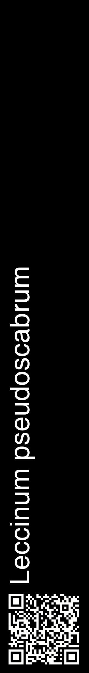 Étiquette de : Leccinum pseudoscabrum - format c - style blanche59_basiquehel avec qrcode et comestibilité