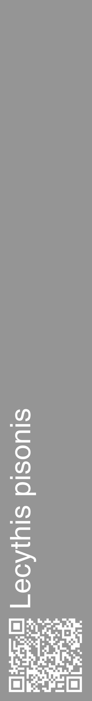 Étiquette de : Lecythis pisonis - format c - style blanche16_basique_basiquehel avec qrcode et comestibilité - position verticale