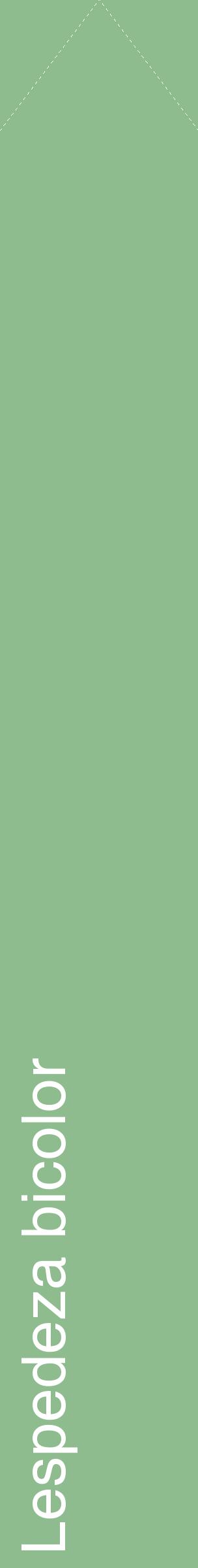Étiquette de : Lespedeza bicolor - format c - style blanche13_simplehel avec comestibilité