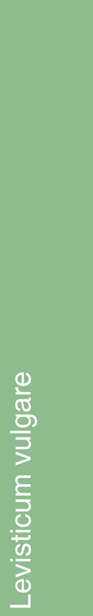 Étiquette de : Levisticum vulgare - format c - style blanche13_basiquehel avec comestibilité
