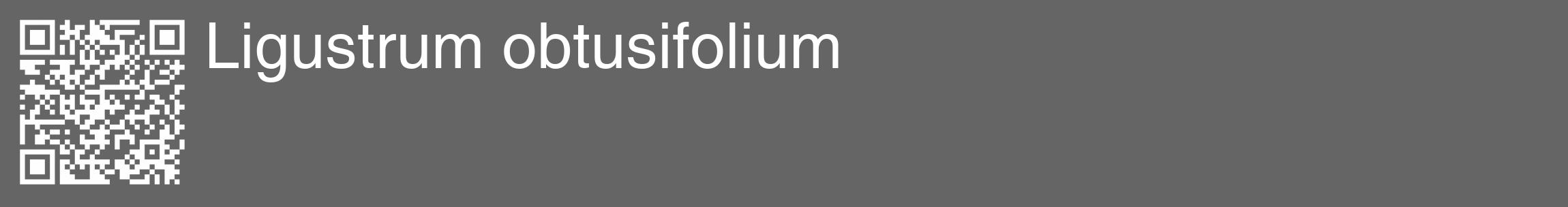 Étiquette de : Ligustrum obtusifolium - format c - style blanche32_basique_basiquehel avec qrcode et comestibilité
