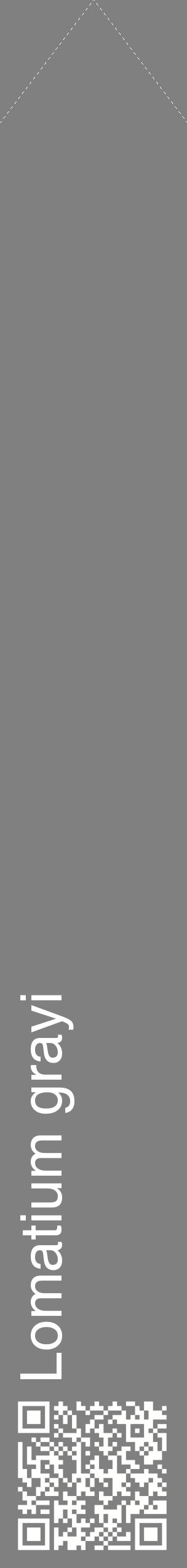 Étiquette de : Lomatium grayi - format c - style blanche57_simplehel avec qrcode et comestibilité