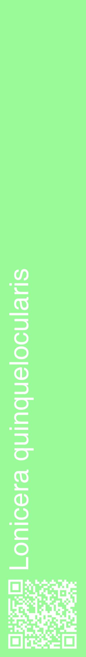 Étiquette de : Lonicera quinquelocularis - format c - style blanche14_basiquehel avec qrcode et comestibilité