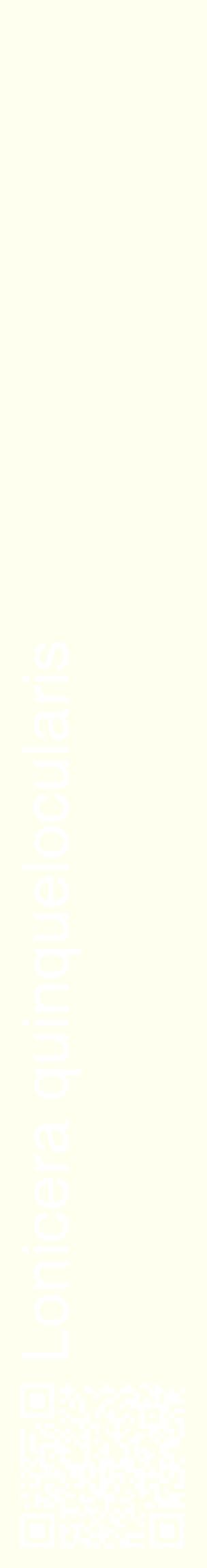 Étiquette de : Lonicera quinquelocularis - format c - style blanche19_basiquehel avec qrcode et comestibilité