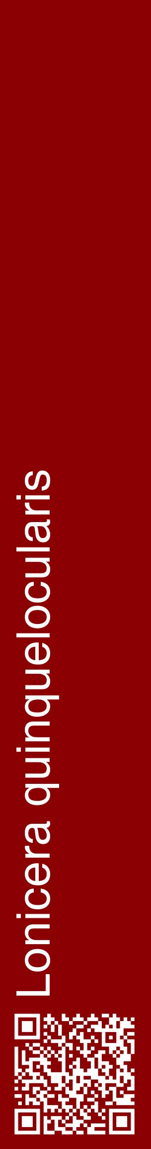 Étiquette de : Lonicera quinquelocularis - format c - style blanche34_basiquehel avec qrcode et comestibilité
