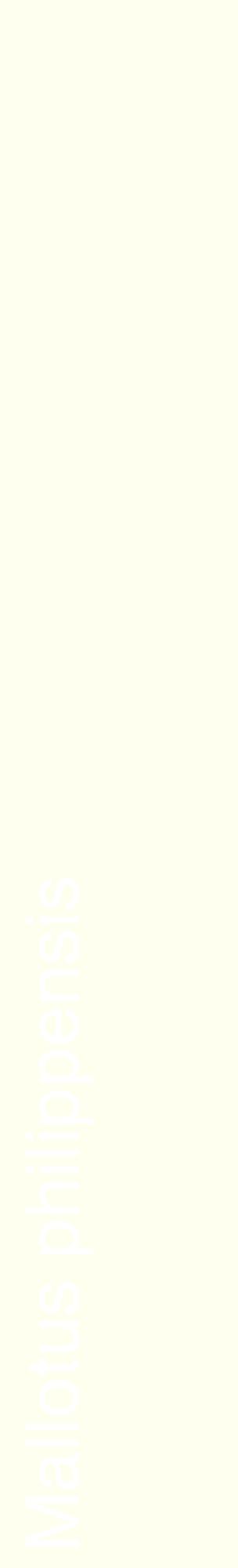 Étiquette de : Mallotus philippensis - format c - style blanche19_basiquehel avec comestibilité