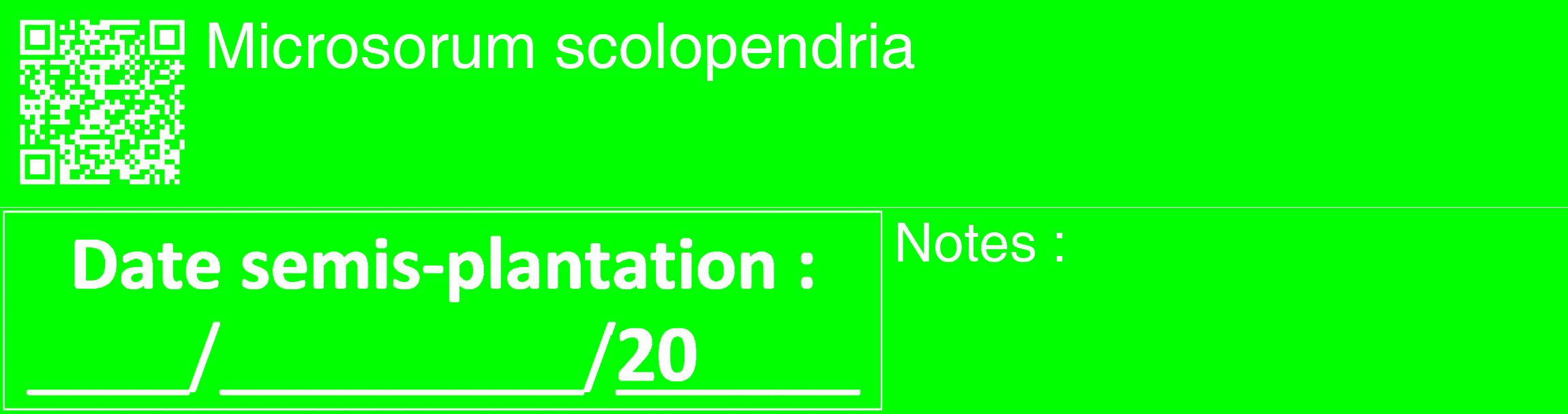 Étiquette de : Microsorum scolopendria - format c - style blanche16_basique_basiquehel avec qrcode et comestibilité
