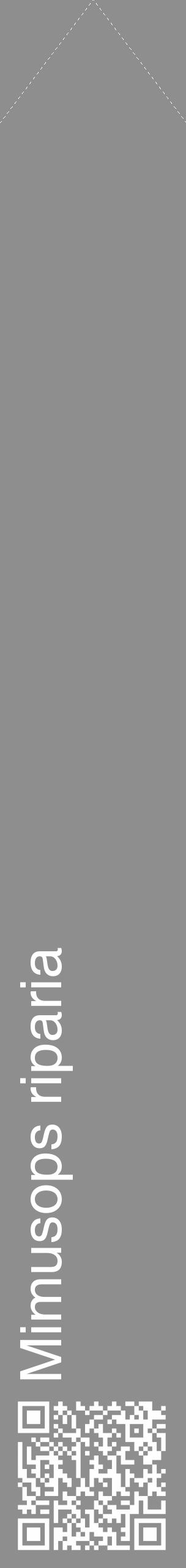 Étiquette de : Mimusops riparia - format c - style blanche25_simple_simplehel avec qrcode et comestibilité - position verticale
